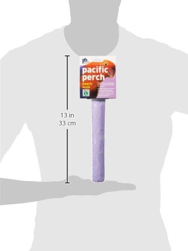 Prevue Pet Products Pacific Perch Beach Walk Large 1008