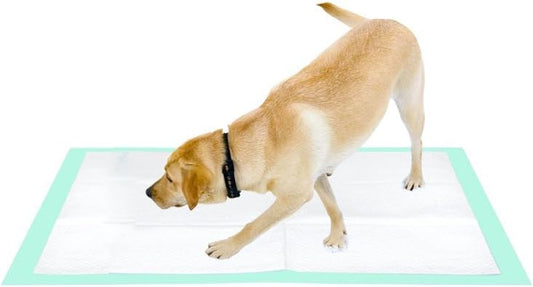 Dog Pee Pads for Dogs XXL 30"x36" Charcoal Puppy Pads 20 Counts Extra Large Disposable Activated Carbon Super Absorbent Full Edge-Wrapping Pee Pads Odor-Control Training Pads(Simplified Version)