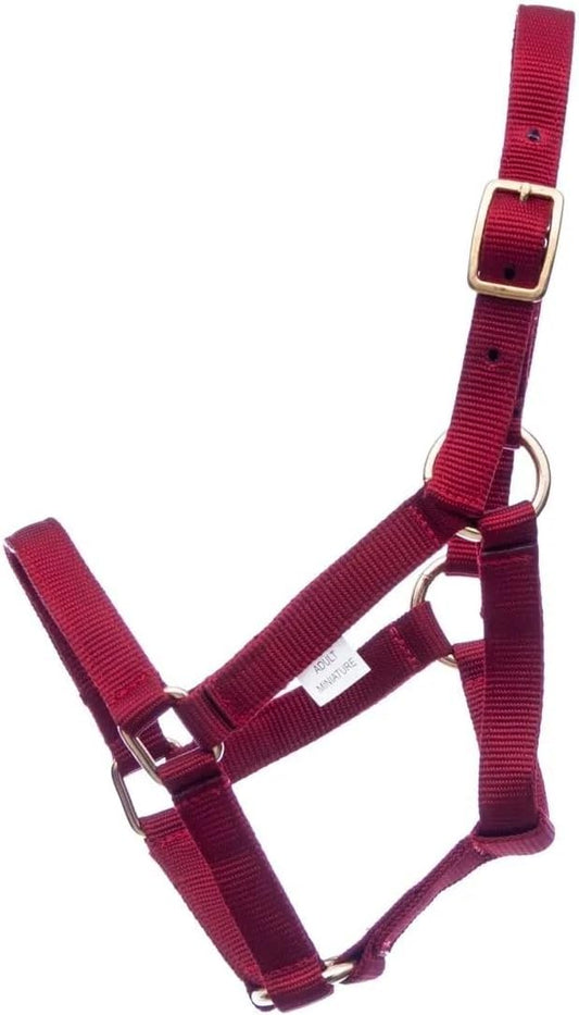 Jeffers Equine Mini Horse Halter – 3/4" Nylon Adjustable Halter for Miniature Horses, Ponies, Under 300 lbs – Heavy Duty Hardware, Secure Fit for Training, Turnout, Grooming, Travel – Red