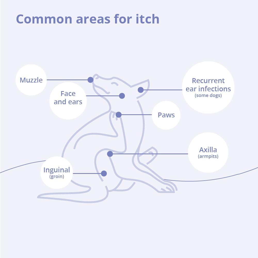 Mal-A-Ket Plus TrizEDTA Spray Conditioner for Dogs and Cats, 8 oz