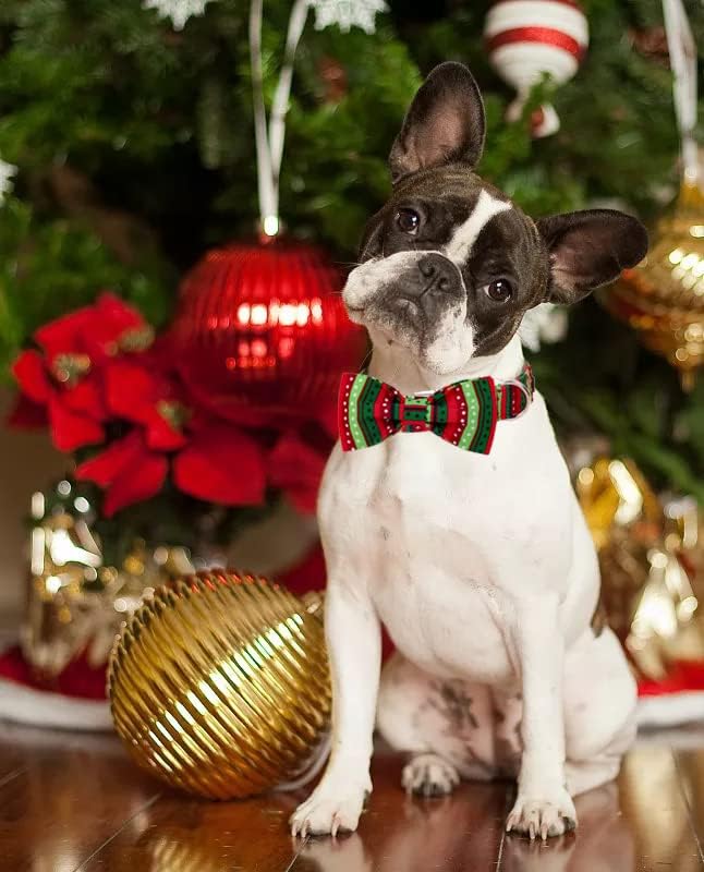 Lionet Paws Christmas Dog Collar with Bowtie, Dog Bowtie Collar with Metal Buckle for Dogs, Adjustable Comfortable Dog Collar Girl Boy Gift, M, Neck 13.5-22 in