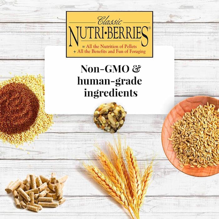 LAFEBER'S Classic Nutri-Berries Pet Bird Food, Made with Non-GMO and Human-Grade Ingredients, for Cockatiels (4 lb)