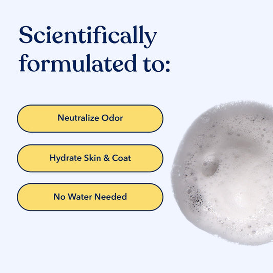 Honest Paws Dog Dry Shampoo - Waterless No Rinse Foaming Formula Reducing Itch Cleanse Hydrate Nourish Dry Skin and Smelly Coat Help Decrease Odor Shedding and Allergies - Oatmeal & Lavender - 6.3 oz