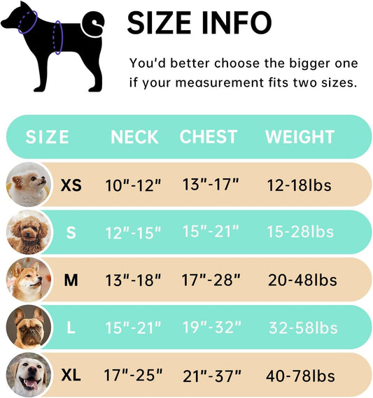 IVY&LANE No Pull Dog Harness with Leash Set, Reflective No Choke Pet Vest,Adjustable Oxford Dog Vest Harness with Easy Control Handle for Medium Dogs (Turquoise,M)