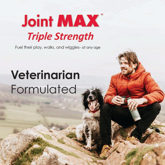 TS Joint Supplement Vet Formulated Pain & Inflammation Relief Treats Hip Dysplasia & Arthritis, Glucosamine, Chondroitin, Turmeric, MSM, HA, Creatine, Omega 3 EPA + DHA.120 Soft Chews