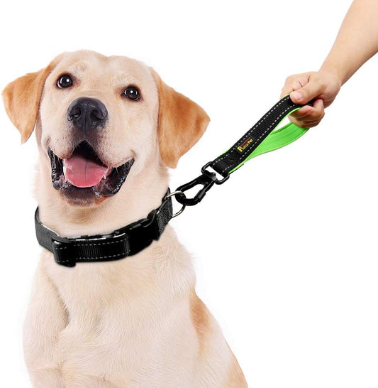 PLUTUS PET 10 Inch Short Dog Leash for Large Dogs with Locking Carabiner Clip & Padded Handleļ¼10ā, Blackļ¼