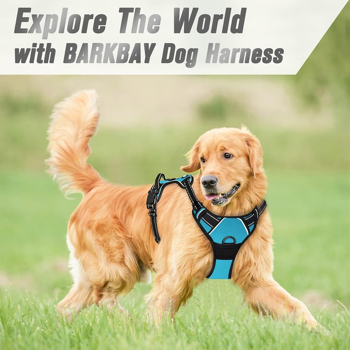 BARKBAY No Pull Dog Harness Front Clip Heavy Duty Reflective Easy Control Handle for Large Dog Walking(Blue,XL)