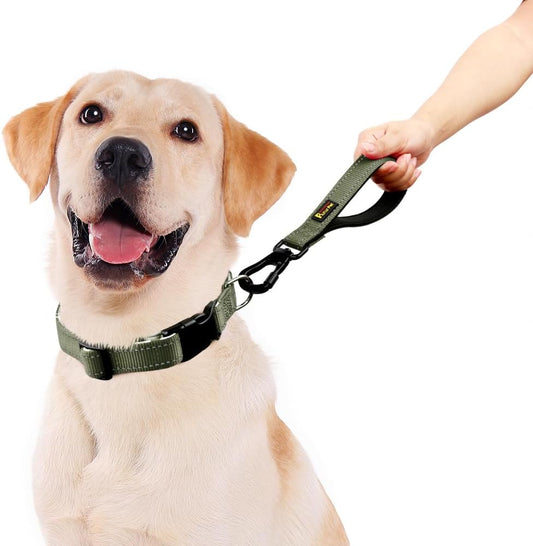 PLUTUS PET Short Dog Leash, Reflective Nylon Padded Handle, Strong Traffic Leash with Carabiner Clip, Perfect for Large or Medium Dogs (10”,Ranger Green)