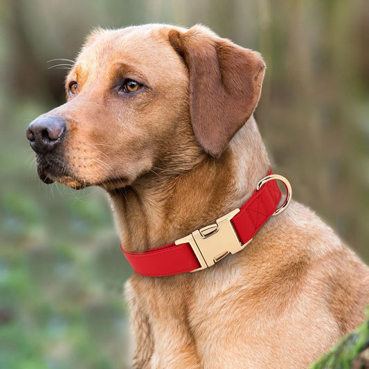 PET ARTIST Soft PU Leather Dog Collar, Bright & Classic Red Dog Collar with Quick Release Rose Metal Buckle, Adjustable Nylon Padded Durable Pet Collars for Large Dogs Girl, Neck Fit 16-27"