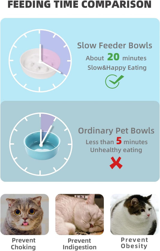 Slow Feeder Cat Bowls, Ceramic Fun Slow Eater Bowl for Cats (White)