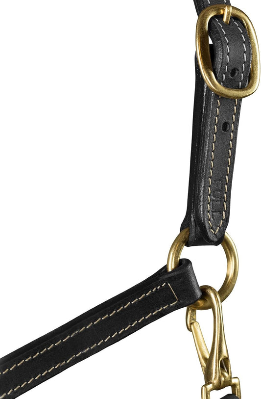 HORZE Fremont Soft Synthetic Leather Horse Halter | Fully Adjustable with Brass Hardware & Contrast Stitching - Black - Shetland