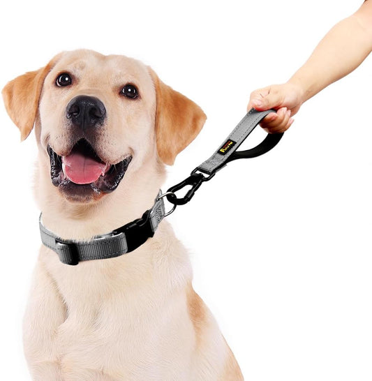 PLUTUS PET Short Dog Leash, Reflective Nylon Padded Handle, Strong Traffic Leash with Carabiner Clip, Perfect for Large or Medium Dogs (10”,Gray)