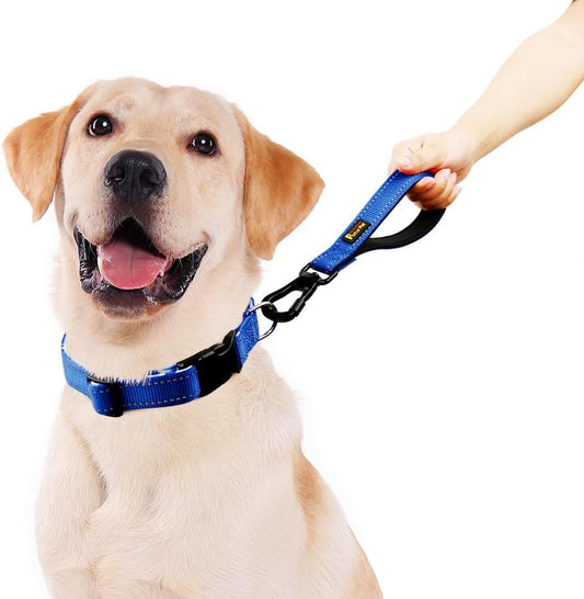PLUTUS PET Short Dog Leash, Reflective Nylon Padded Handle, Strong Traffic Leash with Carabiner Clip, Perfect for Large or Medium Dogs (10”,Royal Blue)