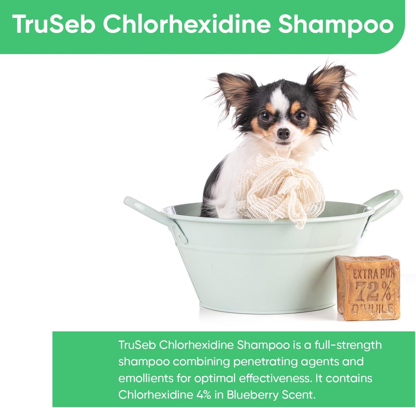 Truseb Topical Chlorhexidine 4% Shampoo for Dogs, Cats & Horses (12 oz)- with Aloe for Cleansing (Chlorhexidine 4% Shampoo, 12 oz)