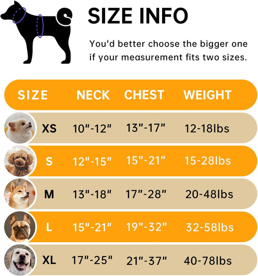 IVY&LANE No Pull Dog Harness for Small Dogs, Vest Harness with Leash, Safety Belt and Storage Strap, Fully Adjustable, 360Β° Reflective Strip, Soft Handle (Orange, S)