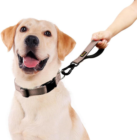 PLUTUS PET Short Dog Leash, Reflective Nylon Padded Handle, Strong Traffic Leash with Carabiner Clip, Perfect for Large or Medium Dogs (10”,Beige)