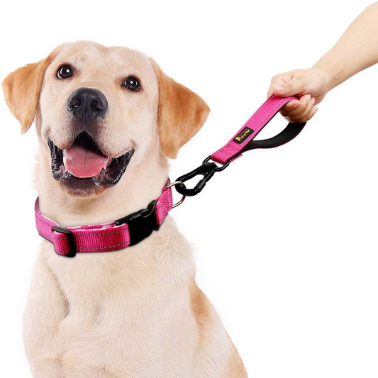 PLUTUS PET 10 Inch Short Dog Leash for Large Dogs with Locking Carabiner Clip & Padded Handle (10”, Pink)
