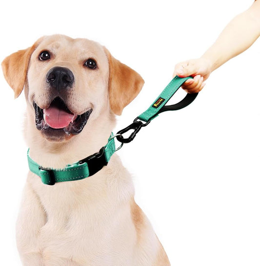 PLUTUS PET Short Dog Leash, Reflective Nylon Padded Handle, Strong Traffic Leash with Carabiner Clip, Perfect for Large or Medium Dogs (10”,Teal)
