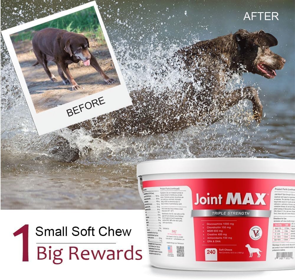 TS Joint Supplement Vet Formulated Pain & Inflammation Relief Treats Hip Dysplasia & Arthritis.Glucosamine, Chondroitin, Turmeric, MSM, HA, Creatine, Omega 3 EPA+DHA. All Dogs 240 Soft Chews