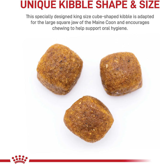 Royal Canin Maine Coon Breed Adult Dry Cat Food, 6 lb bag