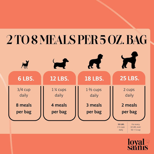 Freeze Dried Raw Dog Food - Premium Turkey and Salmon Flavor with High Protein and Grain Free Dog Food for All Breeds and Picky Eaters - Versatile as Meal Topper, Snack, and Treats, 5 Oz