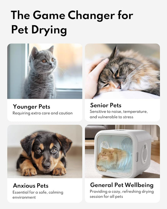 HomeRunPet Cat Dryer, 360Β° Efficient Automatic and Quiet Box with Smart Temperature Control, Ideal for Small Dogs (50L Drybo Plus Pet Dryer Box)