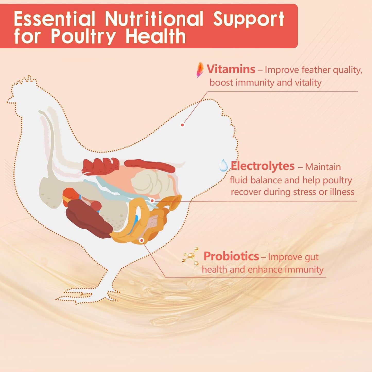 Chicken Electrolyte, Vitamin & Probiotic Supplement - Support Hydration Digestion Immunity Egg Production – Poultry Supplement for Chickens, Ducks, and All Ages of Birds – All-Season Use,10oz Powder