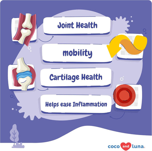 Hip and Joint Supplement for Dogs - with Glucosamine, Green Lipped Mussel, Turmeric, Chondroitin, Fish Oil, MSM and Yucca Schidigera for Dog Joint Relief & Mobility.