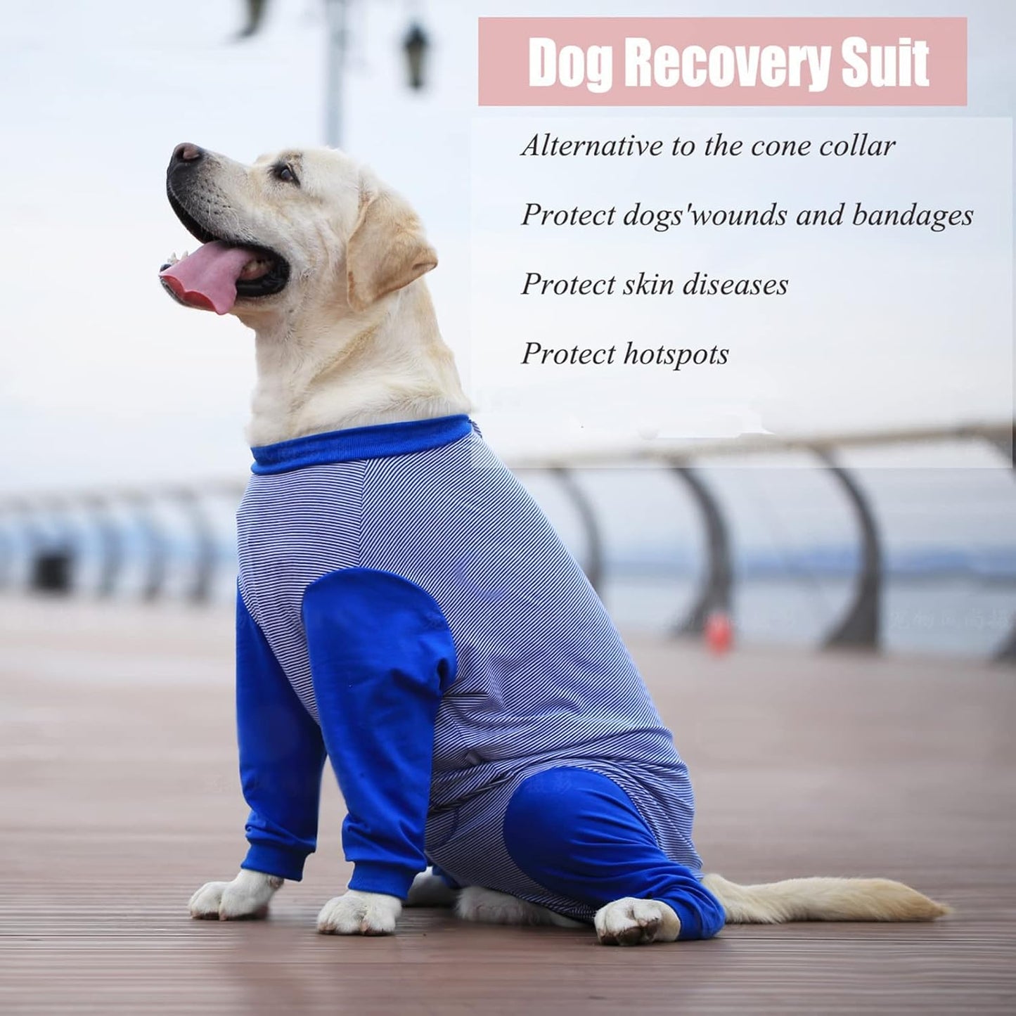 Yeapeeto Dog Onesie Surgery Recovery Suit for Large Medium Bodysuit Dogs Pajamas PJS Full Body for Shedding, Prevent Licking, Wound Protection, Cone Alternative (2XL, Blue)