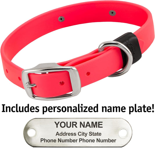 Biothane Custom Dog Collar β Waterproof, Stink-Proof Personalized Collar with Name & Phone Number β Durable, Many Sizes and Colors β Assembled in USA β Assembled in USA (Hot Pink)