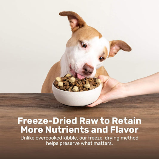 BADLANDS RANCH Superfood Nuggets β Freeze-Dried Raw Dog Food Topper/Treat. Nutrient-Dense Bison & Kale Formula. No Artificial Additives. Premium 8oz Bags β 4-Pack Bundle