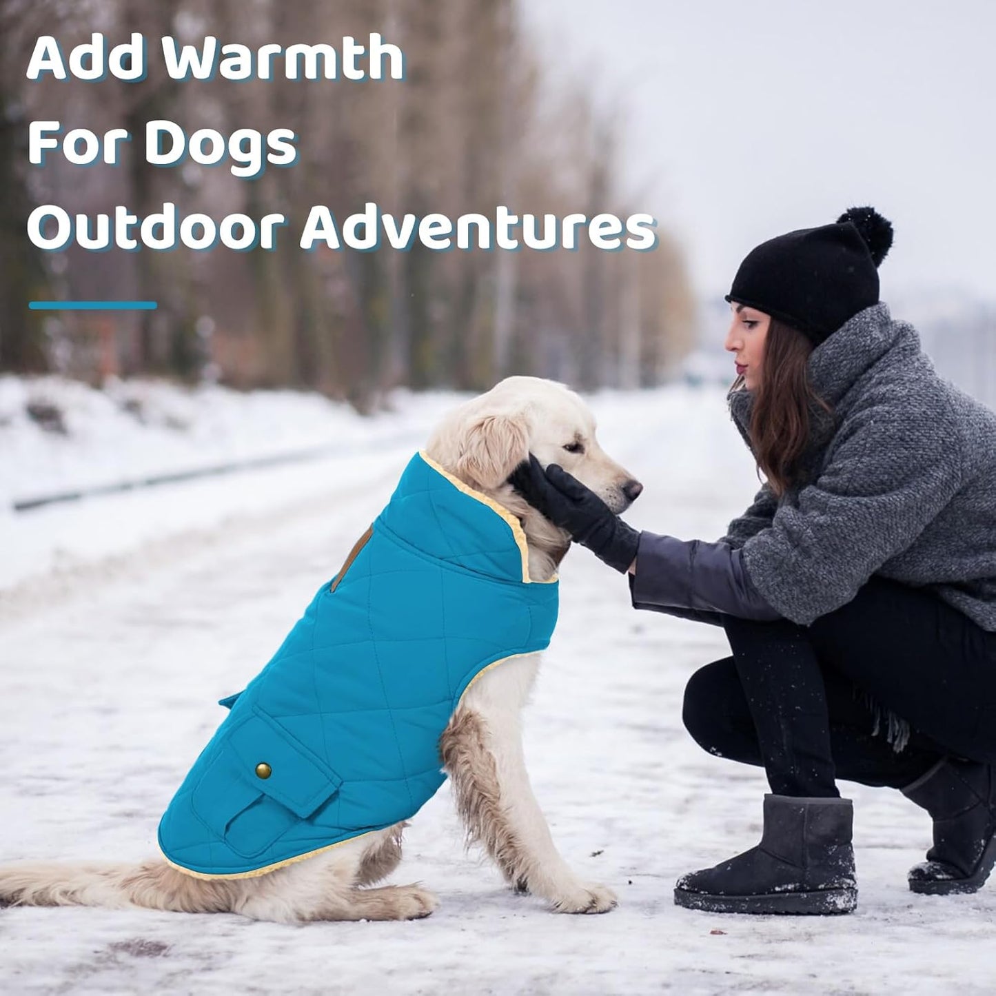 Queenmore Dog Winter Coat Warm Puffer Jacket Waterproof Plush Lining Thermal Cold Weather Vest for Small Medium Large Dogs, Windproof Easy On Pet Jacket Blue M