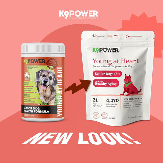 K9 Power Young at Heart Senior Dog Multivitamin 1 lb β Advanced Supplement for Seniors β Supports Brain, Heart, Vision, Joint Health, and Mobility