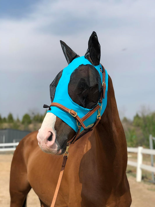 Horse Fly Mask Super Comfort Elasticity Horse Fly Mask with Ears We Only Make Products That Horses Like⦠(Pacific Blue, L)