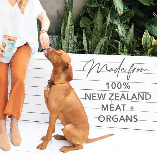 K9 Natural, Freeze-Dried Single Ingredient Dog Treats, High-Value, Low-Calorie Protein Bites for Active Dogs, Healthy Dog Training Treats, Grain-Free Reward, Lamb & Organs, 1.76oz (Pack of 2)