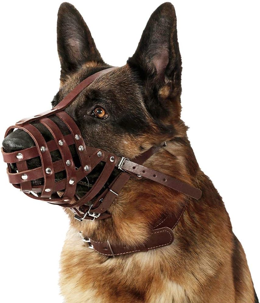 CollarDirect Dog Muzzle German Shepherd Dalmatian Doberman Setter Leather Basket Medium Large Breeds (Chestnut Brown, Large)
