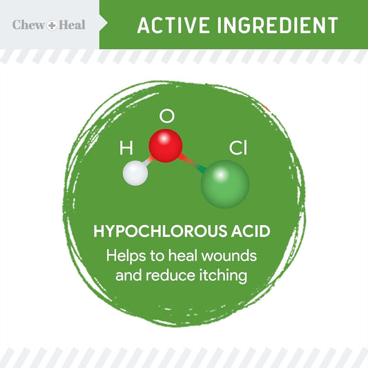 Hypochlorous Acid Spray for Dogs β 4oz Dog Wound Spray for Cuts, Burns, Sores, Abrasions, and More β Non Toxic and Chemical Free HOCI Wound Care β Made in The USA