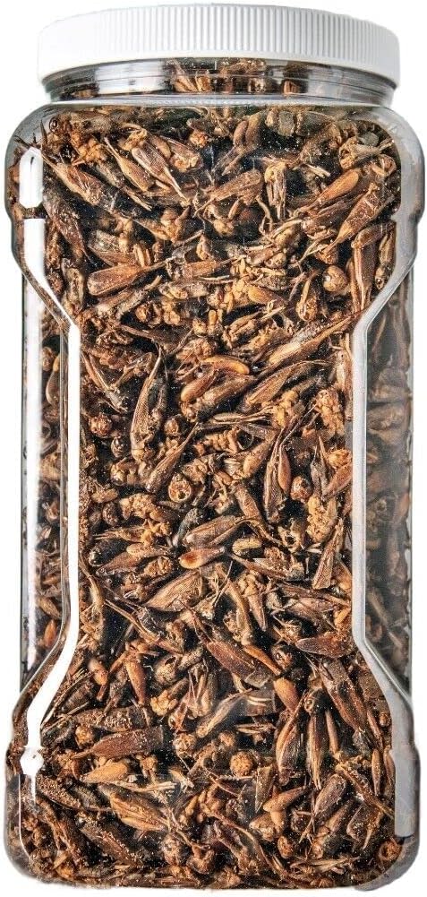 Aquatic Foods Inc. Crickets - Freeze Dried Crickets for Tropical Fish, Reptiles, Turtles, Tortoises Frogs, Hamsters, Birds, Rodentsā¦2oz Small Jar