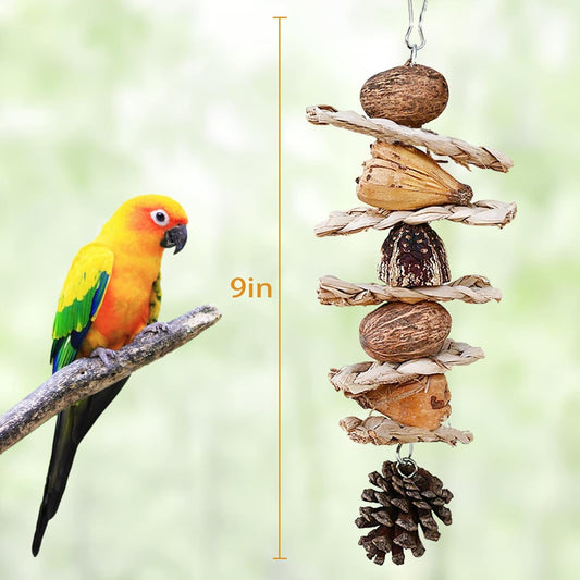 Bird Toys :Straw-Woven Parrot Toys,Parakeet Chewing Hanging Toy Bird Cage Accessories,Suitable Parrots Budgies Cockatiels Lovebird Monk Parakeet Amazon Parrot Sun Conure