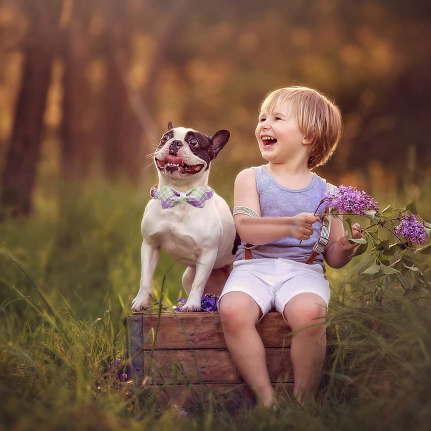 Elegant Little Tail Plaid Dog Collar with Cute Bowtie for Small to Large Dogs