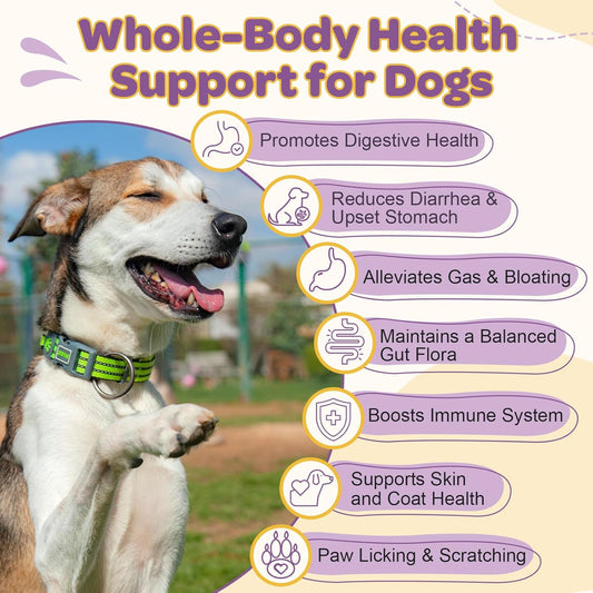 Probiotics for Dogs β 6 Billion CFUs & 10 Strains with Prebiotics, Omega-3, Digestive Enzymes & Multivitamins, Dog Probiotics for Digestive Health, Immune Support, Skin & Coat, 120 Duck Flavor Chews