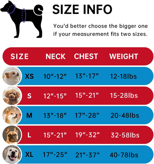 IVY&LANE No Pull Dog Harness for Small Dogs, Dog Vest Harness with Leash, Safety Belt and Storage Strap, Fully Adjustable, 360Β° Reflective Strip, Soft Handle (Red, S)