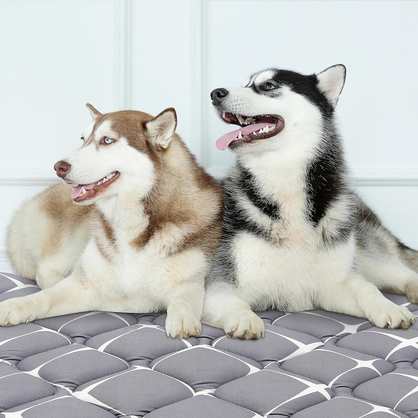 Bubble bear Dog Crate Mat - Ultra Soft, Washable & Anti-Slip Kennel Pad for Small/Medium/Large Dogs, Dark-Hued to Hide Stains (52"x28")