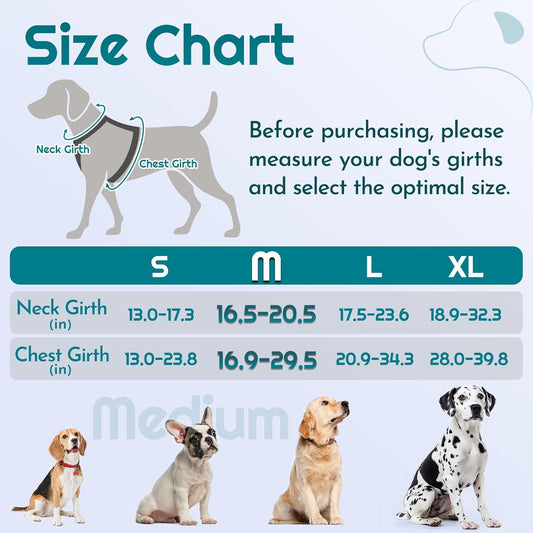 Eagloo Dog Harness Medium Sized, Easy Wearing with 3 Buckles, Adjustable No Pull Pet Harness with 2 Rings for Walking, No Chock Reflective Soft Padded Vest with Control Handle, Red & Teal, M