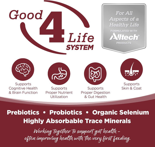 NutriSource Dry Dog Food, Beef and Rice, 4LB