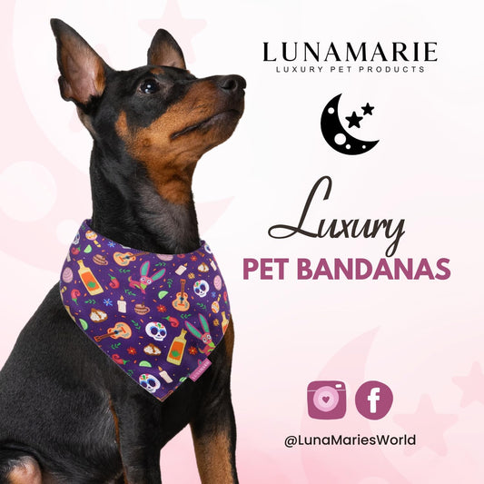 LunaMarie - Luxury Pet Birthday Bandanas -Premium & Silky Poly Fabric | 100% Handmade | Custom Shape Dual Layered (Day of The Dead, Large)