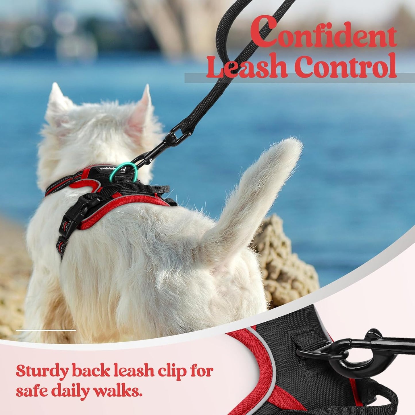 rabbitgoo Dog Harness No Pull with 2 Leash Clips, Adjustable Soft Padded, Reflective Oxford No Choke Pet Vest with Easy Control Handle for Puppy, Black & Red, XS