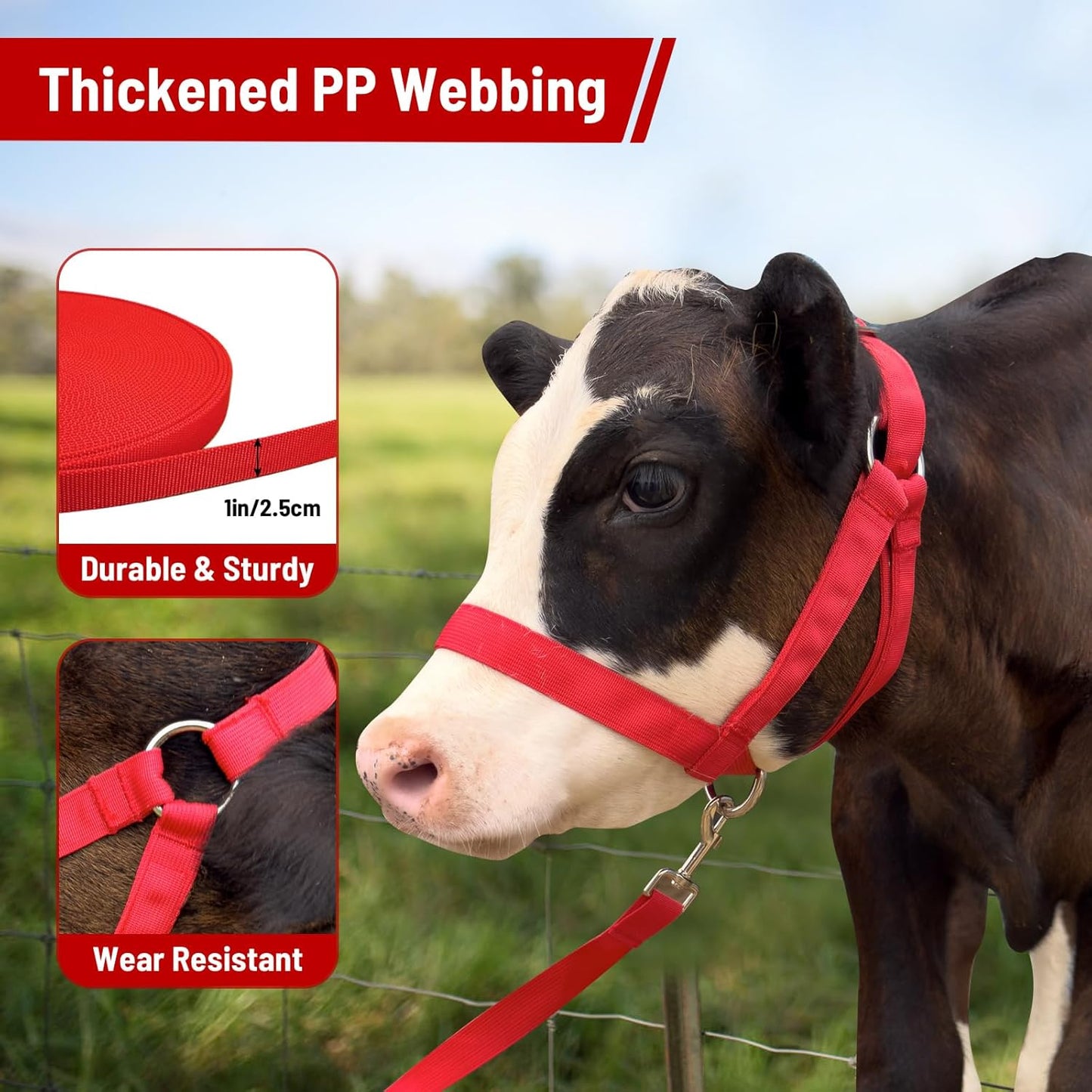 XUANNIAO Easily Adjustable Figure 8 Cow Halter, Double-Ply Premium Livestock Cattle Halters, Colorful Cow Utility Calf Halter with Leading Rope for Miniature Horse Donkey Goat Foal (Large, Black)