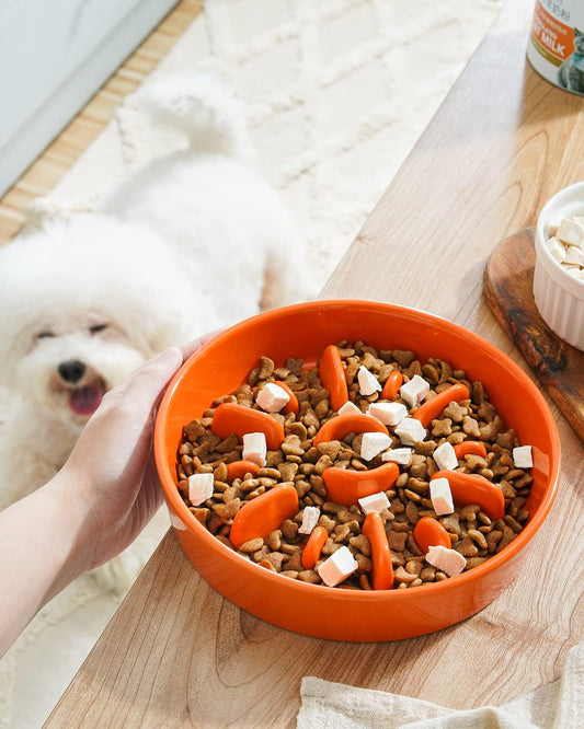 LE TAUCI Dog Bowls Slow Feeder Ceramic, 1.5 Cups Slow Feeding Dog Bowl Small Medium Breed, Puppy Bowl for Fast Eaters, Sun Orange