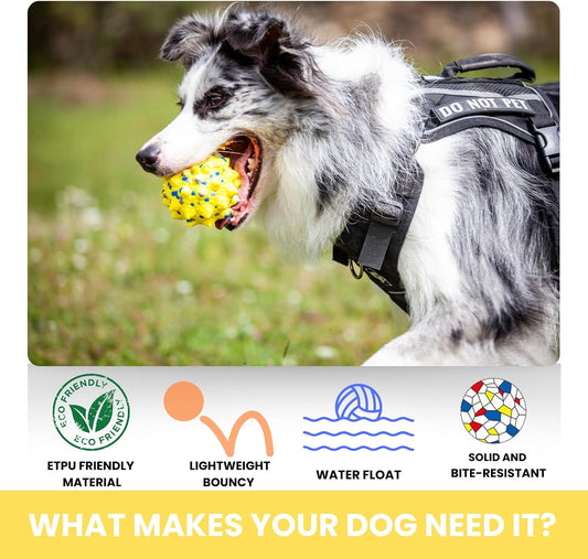 Durable Interactive Dog Toys for Aggressive Chewers,Puppy Teething Toys,Floating Fetch Balls,Bouncing Chew Balls,Tennis Balls for Dogs (2 Balls)